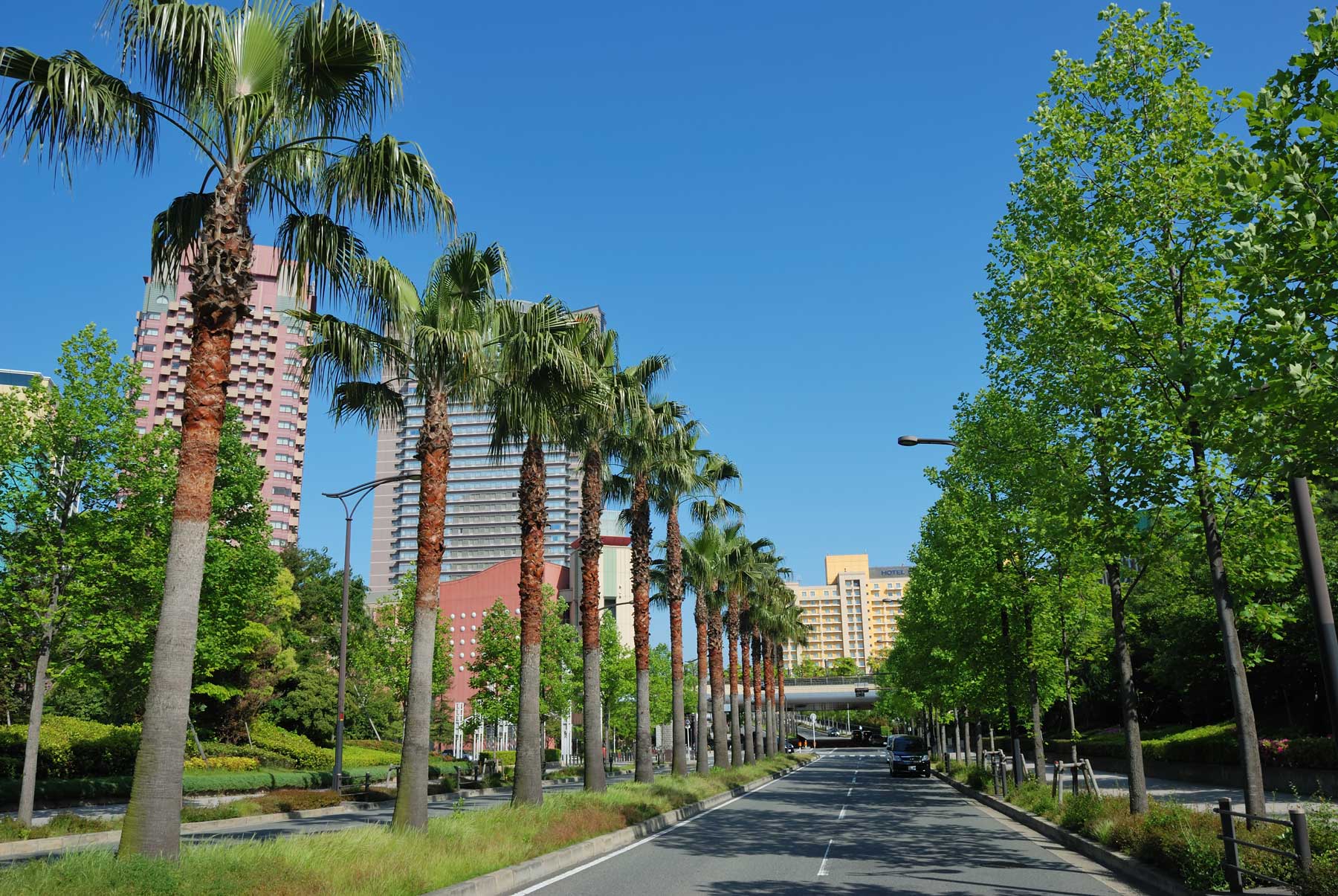 Nearby - Universal Studios Japan - about 40 min by car, about 30 min by train